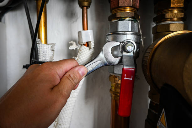 Best Water Leak Repair  in Toluca, IL